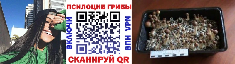 Галлюциногенные грибы Magic Shrooms  omg ТОР  Октябрьск  купить  цена 